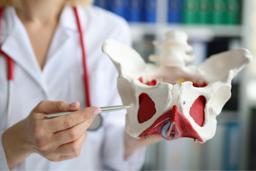 Pelvic Organ Prolapse